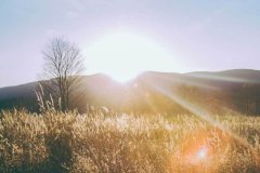 <strong>以优雅的古典风格闻名</strong>