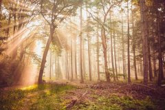 品牌/产品：英国奢侈品牌